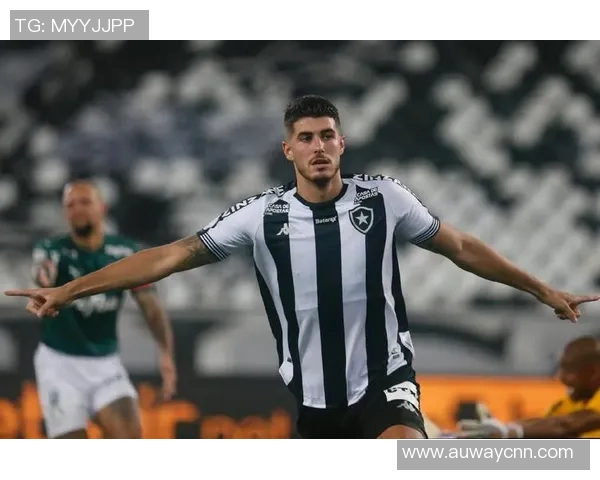 博塔弗戈与累西腓激战在即谁将赢得这场巴西足球盛宴